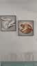 无痕钉 挂画钉照片墙相框挂钩免打孔安装强力粘胶装饰画隐形粘钩 10个装【免钉无痕/掉落包赔】 实拍图