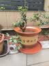 紫砂陶瓷花盆特大号花盆粗砂陶土大码陶瓷盆批发落地盆景花卉绿植 口径32cm 1个盆+托盘 实拍图
