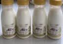 每日鲜语鲜牛奶 A2β-酪蛋白鲜牛奶185ml*6 巴氏杀菌乳 低温鲜奶 实拍图