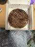 鲜京采 黑巧酪酪巧克力蛋糕420g/6块 动物奶油零食糕点下午茶节日礼赠 实拍图