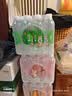 依能 日向夏橘味苏打水 无糖无汽弱碱 0脂饮料 500ml*24瓶 塑膜装 实拍图
