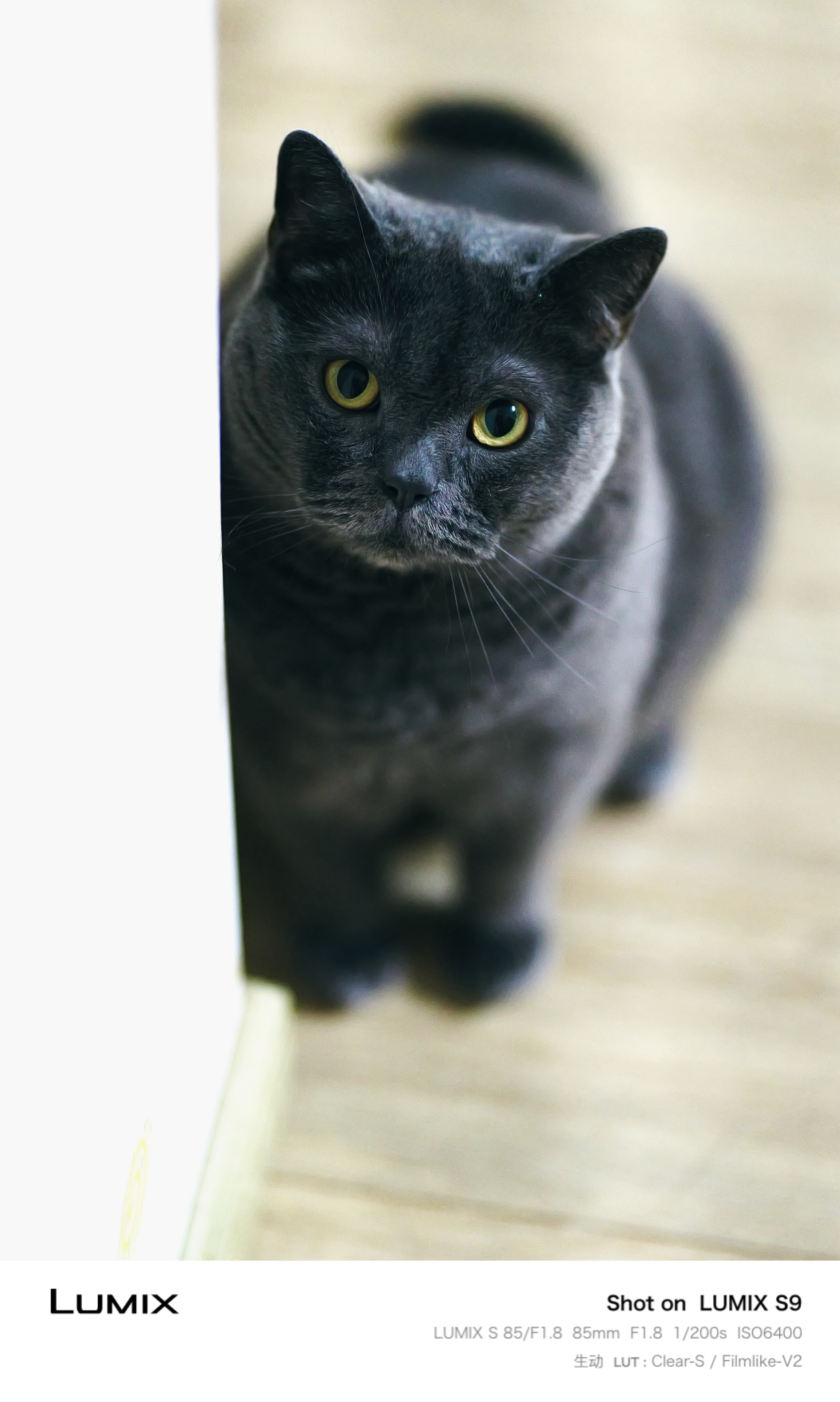 松下【24期免息】S9（18-40mm F4.5-6.3）套机 （Panasonic）全画幅微单 实时Lut直出app极速分享-灰银 实拍图