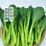 七鲜24小时菜心 300g 实拍图