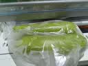西葫芦约750g 实拍图