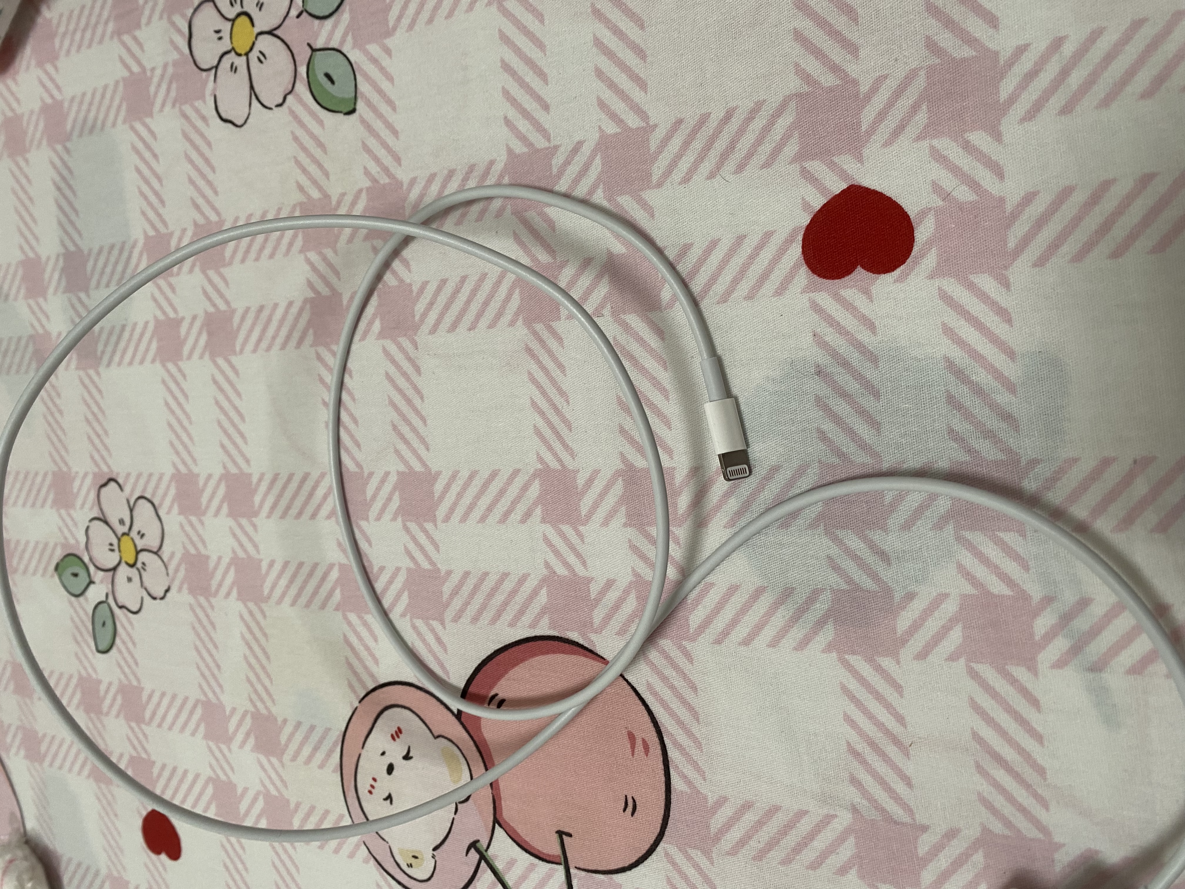 Apple/苹果 Lightning闪电转usb充电线-1米 手机数据线 旗舰店原装苹果iPhone 14 Pro Max充电线 实拍图