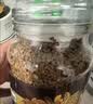 摩可纳（Moccona）经典8号冻干速溶黑咖啡200g瓶装 深度烘焙进口拿铁美式冷萃0糖 实拍图