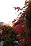 腾龙（Tamron）B070 17-70mm F/2.8 VC防抖半画幅大光圈微单镜头17-70风光人像旅行1770 富士X卡口 官方标配【送腾龙UV镜+ND8减光镜+清洁套装】 实拍图