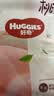 好奇（Huggies）铂金装小桃裤成长裤XXXL26片*4包(17kg以上)【散热口碑王】 实拍图