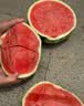 京鲜生 无籽麒麟西瓜 1粒净重7-9斤 生鲜水果源头直发包邮 实拍图