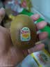 佳沛（zespri）新西兰金奇异果猕猴桃 5粒装 单果约88-103g 水果源头直发 实拍图