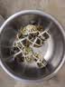 【活蟹】阳澄联合鲜活大闸蟹现货全母蟹 2.5-2.8两 10只生鲜螃蟹精品礼品盒 实拍图