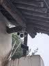 镭威视4g太阳能摄像头终身免流量AI室外免插电无电无网手机远程户外监控器家用360度无死角高清全景夜视 实拍图