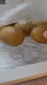 佳沛（zespri）新西兰金奇异果10个装单果重103-114g猕猴桃水果礼盒 实拍图