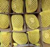 佳沛（zespri）新西兰金奇异果16粒经典果88-103g猕猴桃水果礼盒 实拍图