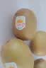 佳沛（zespri）新西兰金奇异果猕猴桃 5粒装 单果约88-103g 水果源头直发 实拍图