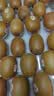佳沛（zespri）新西兰金奇异果22粒巨大原箱146-175g猕猴桃水果礼盒 实拍图