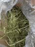 喜帅26年头茬提摩西草 烘干北提提草龙猫兔粮荷兰猪主粮磨牙零食500g 实拍图