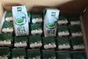 伊利【新鲜日期】金典纯牛奶早餐奶250ml*16盒3.6g 礼盒装 实拍图