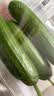 【水果菜】荷兰水果黄瓜约400g 实拍图