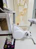 英尔健家用动感单车智能磁控静音运动减肥健身器材室内脚踏车健身单车 [入门款]物理阻力/AI体感/竞赛游戏/13斤全包飞轮组 实拍图