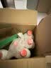 爱特福84 消毒液 家用工厂消毒剂 去污垢杀菌 衣物漂白液 750ml*20瓶整箱 晒单实拍图