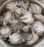 美加佳三去小章鱼净重2斤（500g*2袋）16-26只 去脏八爪鱼火锅聚餐 实拍图