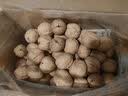 西域美农新疆温宿185纸皮核桃3斤量贩装 手捏易剥 原味生坚果干果健康零食 实拍图