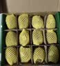 佳沛（zespri）绿奇异果 优选大果12粒单果约115-135g  水果 猕猴桃 实拍图