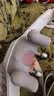 妙界【保价双十一】R9至尊版揉捶肩颈按摩仪颈椎按摩器按摩披肩热敷揉捏捶打一体式腰背部按摩 灰 实拍图