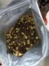 麦富迪猫粮 超肉粒冻干双拼奶糕离乳猫粮呵护免疫 冻干蛋奶2kg 实拍图