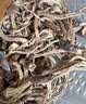 十月稻田 鹿茸菇 150g 高蛋白 脆嫩提鲜 山珍菌菇干货 炒菜煲汤火锅食材 实拍图