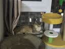 领先鸡肉主食猫条14g*15条猫咪零食罐头猫粮湿粮（新老款随机发货） 实拍图