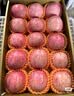 京鲜生山东栖霞红富士苹果 12粒 净重5斤 单果190g-240g 生鲜礼盒 实拍图