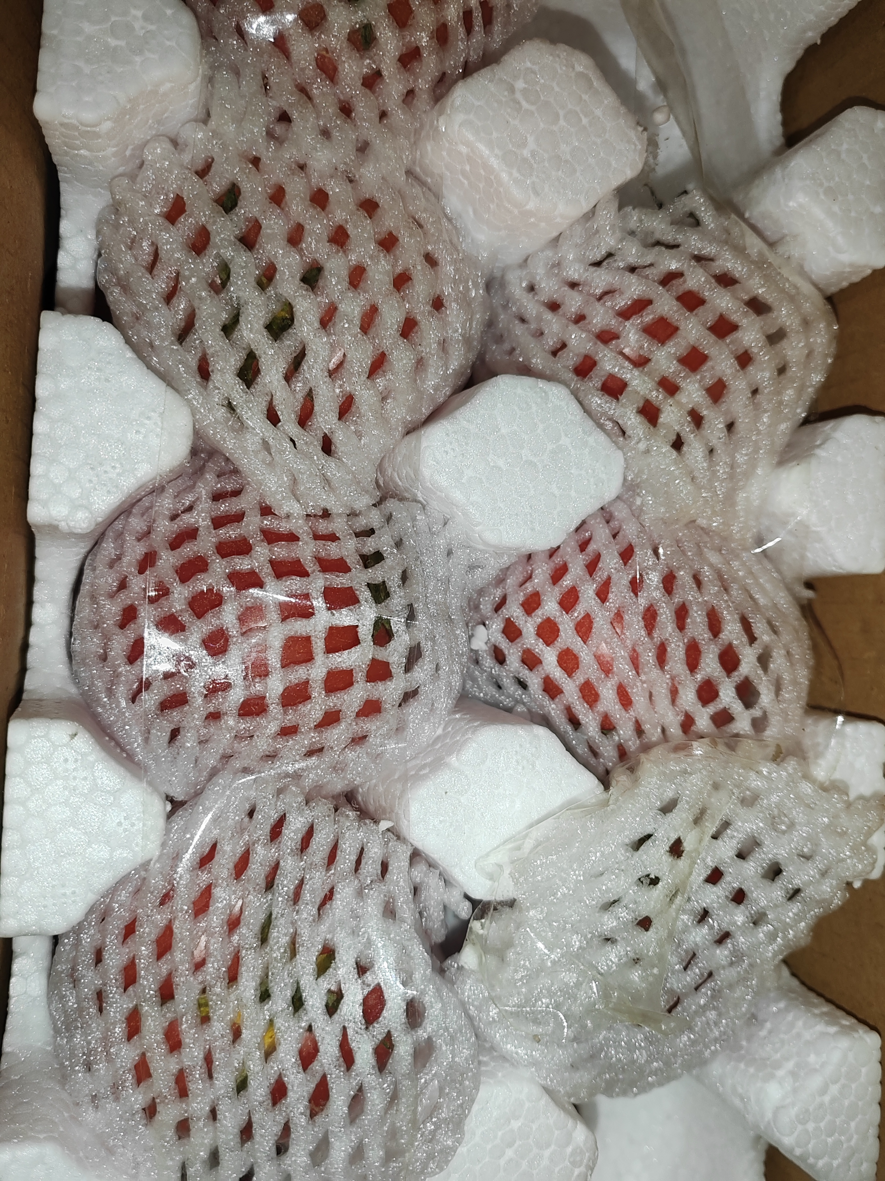 京鲜生陕 普罗旺斯西红柿净重4.5斤中果110g+ 陕西正宗水果番茄源头直发 实拍图