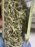 印象堂茶叶花草茶金银花茶浙江菊花茶组合110g共2罐装礼品养生茶 实拍图