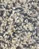 燕之坊免浸泡七色糙米4斤粗粮杂粮米饭低脂饱腹同煮同熟绿糙米紫米黑米 实拍图