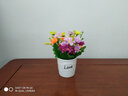 伊芙美小雏菊仿真花假花盆栽花艺摆件客厅家居餐桌办公室桌面装饰品摆设 28头红莲黄雏菊+陶瓷love瓶 实拍图
