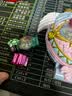 奇妙萌可闪耀流星玩具闪耀流星宝盒可拍照充电爱心萌可小女孩生日礼物 实拍图