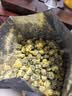 贡苑菊花茶胎菊160g 特级无硫头采胎菊白菊花护蕾肝去泡水火养生茶叶 实拍图