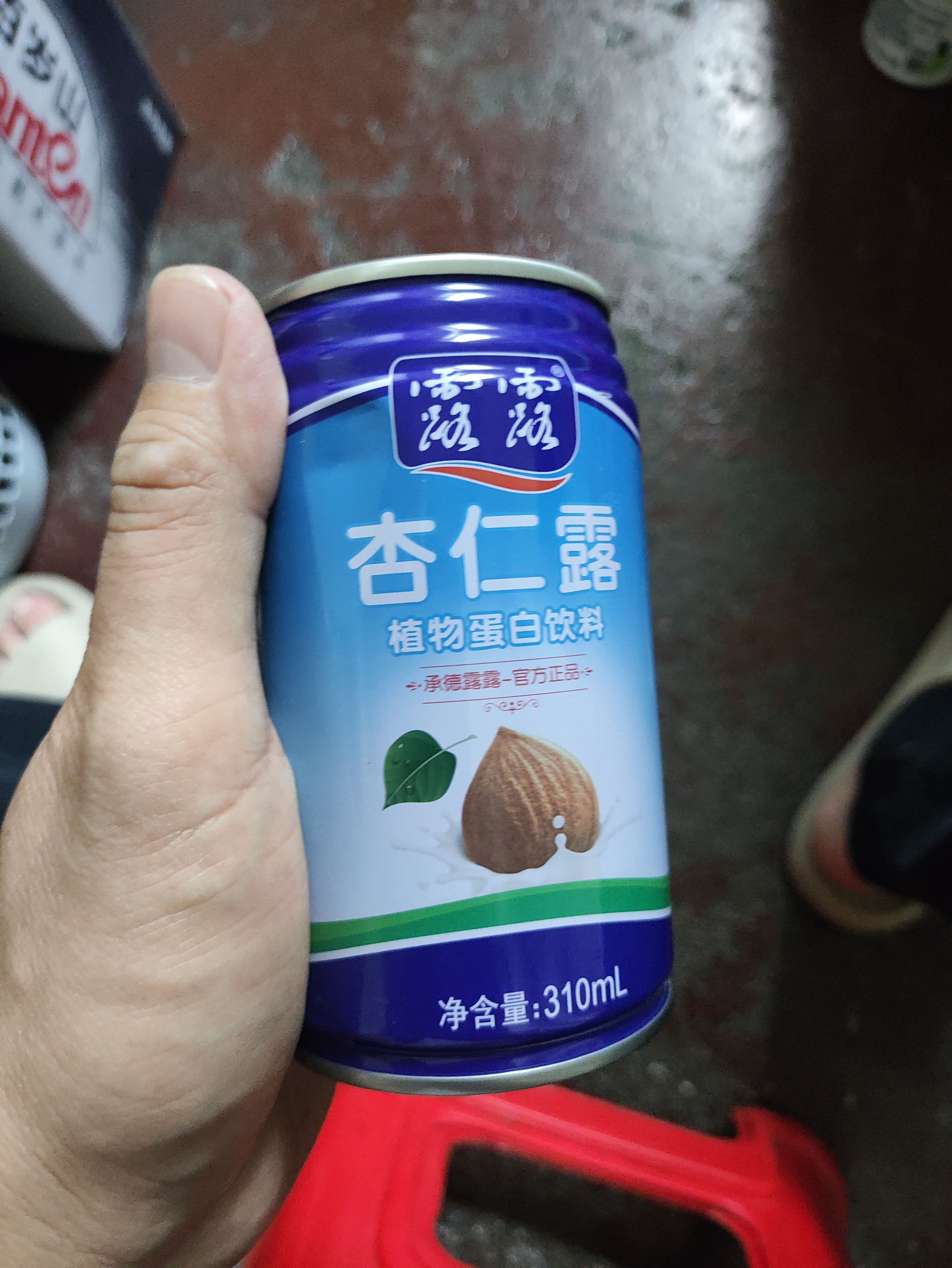 露露杏仁露经典款310ml*15罐整箱 早餐增量装出游聚餐 实拍图