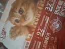 亿迪 猫粮幼猫1-4月12月全价奶糕蓝猫英短美短小猫专用离乳期3斤 实拍图