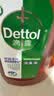 滴露（Dettol）消毒液洗衣衣物消毒水750mL 除螨杀菌混洗无忧 家居地板消毒 非84 实拍图