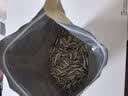 华味亨原味瓜子500g葵花籽坚果炒货香瓜子追剧小吃办公休闲零食1斤装 实拍图