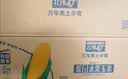 北纬47度黄糯玉米4.8斤(240g*10根)东北甜黏玉米棒真空包装 杂粮粗粮 早餐 实拍图