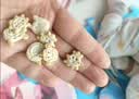 小鹿蓝蓝婴幼儿有机树莓椰子饼干 宝宝零食有机饼干淡口味9种动物造型80g 实拍图