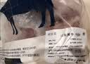 鲜京采惠选 国产山东黄牛原切带芯牛腱子净重3斤 酱卤红烧 实拍图