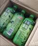 达利园青梅绿茶果汁果味茶低糖饮料饮品500ml*15瓶整箱装 实拍图