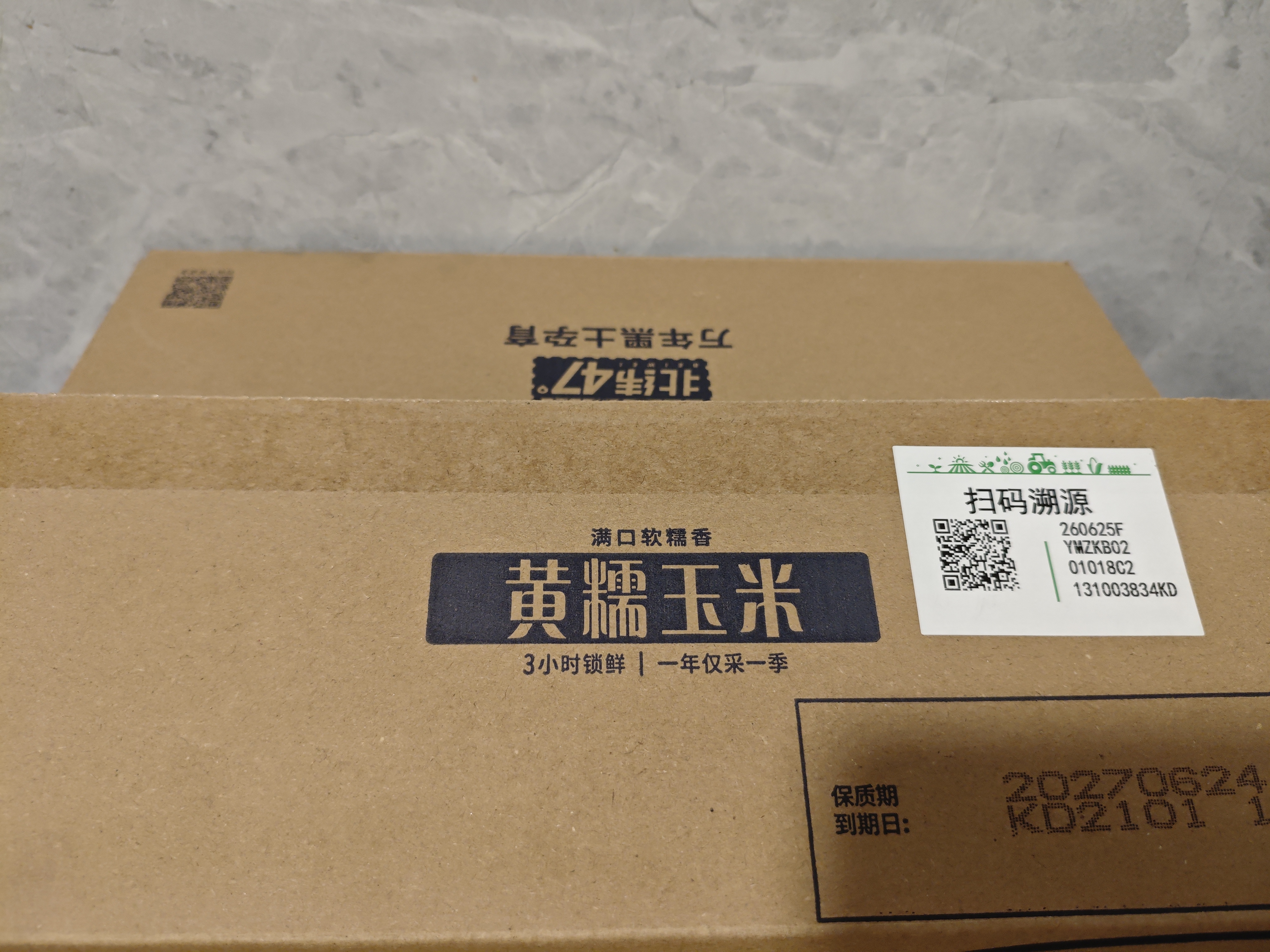 北纬47度黄糯玉米4.8斤(240g*10根)东北甜黏玉米棒真空包装 杂粮粗粮 早餐 实拍图
