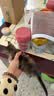 萌宠之星猫高蛋白羊奶粉0乳糖羊奶粉300g幼猫奶粉新生猫羊奶粉宠物羊奶粉 实拍图