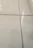 三棵树漆趣森活美缝剂全效防霉防水耐磨十大品牌勾缝填缝剂美缝胶 亚浅灰 实拍图